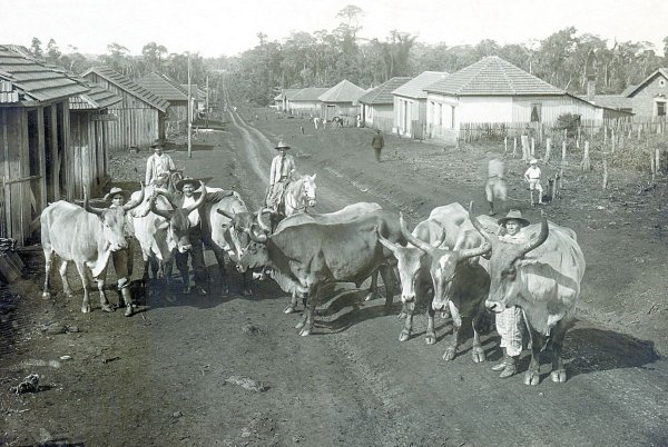 A primeira iluminação pública de Londrina: um brilho de progresso