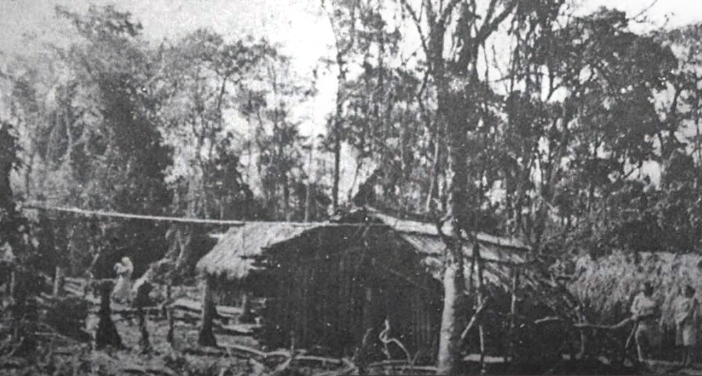 Laços entre Londrina e Maringá