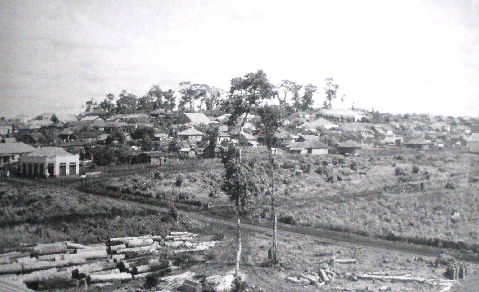 Farmácias pioneiras