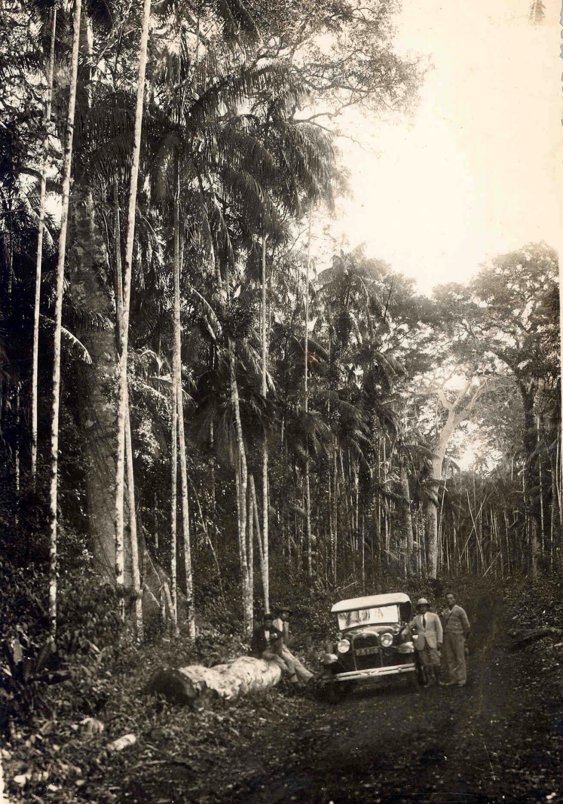 A influência de Hikoma Udihara na preservação da memória visual de Londrina