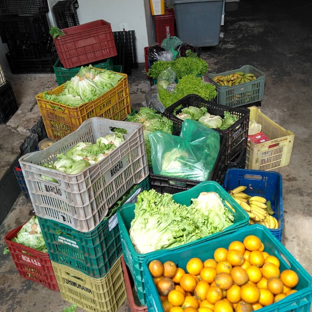 A Feira do Produtor de Londrina